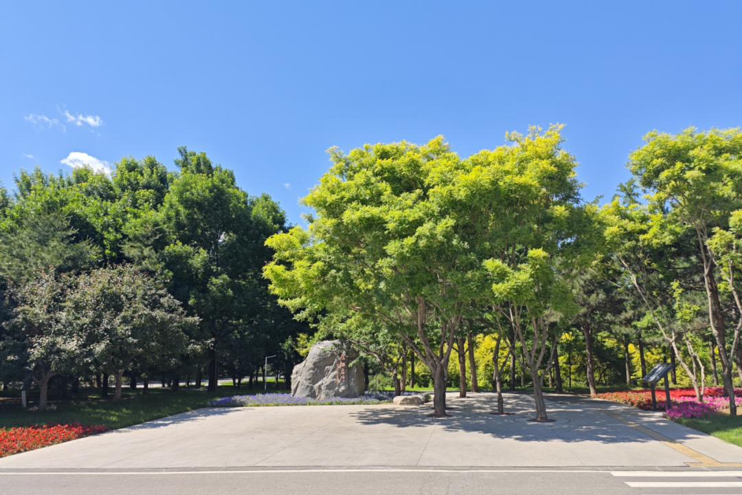/images/xwzx/qydt/2026/08/24/A602E0CC1C01336BF404218C80F20114.png /images/xwzx/qydt/2026/08/24/A602E0CC1C01336BF404218C80F20114.png